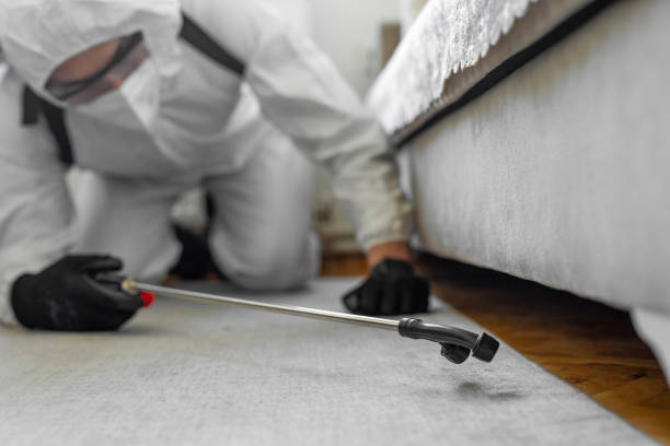 Professional Bed Bug Control technician working in Belle Mead, NJ